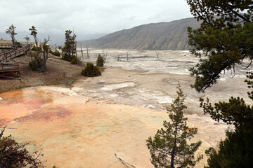 A picturesque valley in the north of Yellowstone. The photo was taken in cloudy weather. Rarely...