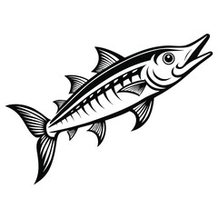 Detailed outline illustration of a barracuda fish presented as a clean vector graphic isolated on white background