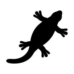 Silhouette of Gecko or Lizard Icon, Black silhouette of a gecko or lizard with outstretched limbs and tail, often used in nature, reptile, or wildlife-themed designs.
