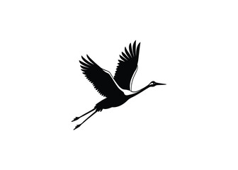 black crowned crane
