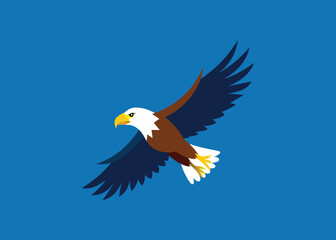 american bald eagle