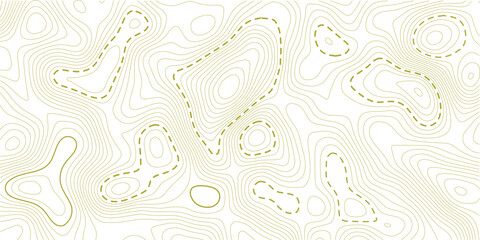 Geographic grid map background. Vector illustration