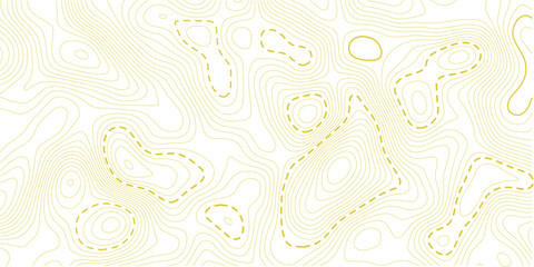 Contour topographic map. Geographic grid map background. Vector illustration.