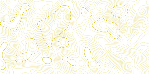 Contour topographic map. Geographic grid map background. Vector illustration.