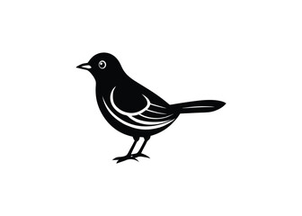 bird on a branch