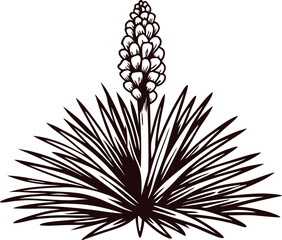 hand drawn yucca plant with spiky leaves and blooming flower isolated on white background