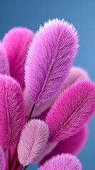 Pink and Purple Plumes Against Blue Background