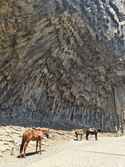 Three horses stand beneath the Symphony of Stones in Armenia, a massive basalt rock formation...