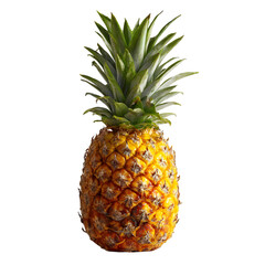 Fototapeta premium A whole ripe tropical pineapple with green spiky leaves on a transparent background isolated on transparent background