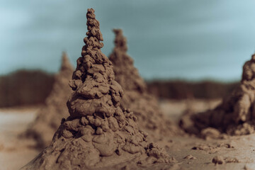 Sandcastle emerging from wet beach sand under cloudy sky