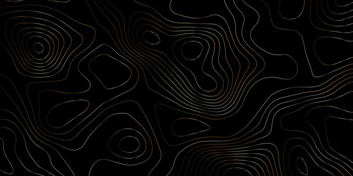 Abstract black topography background. Detailed topographic map pattern. Seamless curve lines pattern. Flowing line art design. Smooth Wavy curve lines banner.