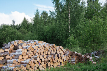 Pile of logs near forest shows deforestation threatening ecosystem
