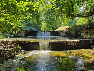 A small waterfall in the middle of a small stream in a park