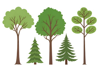  Set of green trees on transparent background