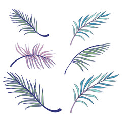 Fototapeta premium Colorful Palm Leaf Set – Tropical Botanical Silhouettes in Gradient Style for Exotic Decor, Jungle Design, Beach Themes, and Nature Illustration Projects, PNG FILE