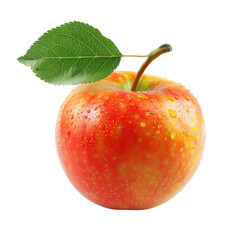 Close-up of a single fresh apple