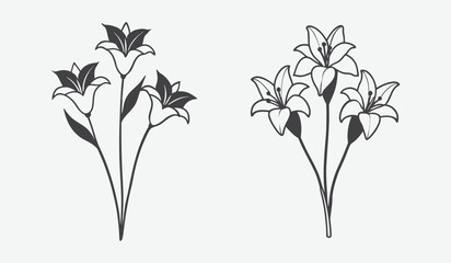 Elegant floral arrangements featuring lily blooms and slender stems isolated on white background