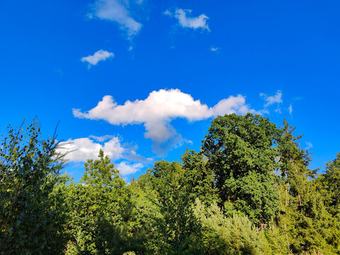 A blue sky with some clouds and trees in the background