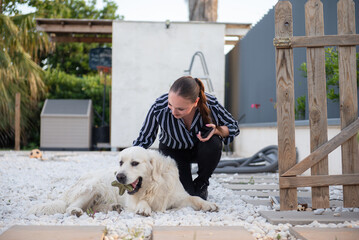 Woman playing with white big dog golden retriever holding toy in mouth on marble stones. Spending time with pet together outdoors