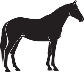 Obraz premium horse