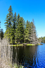 étang de la gruère, la gruère, See, Moorsee, Moor, Weiher, Hochmoor, Wanderweg, Wasserpflanzen, Wald, Waldweg, Holzsteg, Wasserpflanzen, Torfmoos, Jura, Naturschutz, Frühling, Sommer, Schweiz