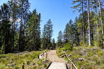 étang de la gruère, la gruère, See, Moorsee, Moor, Weiher, Hochmoor, Wanderweg, Wasserpflanzen,...