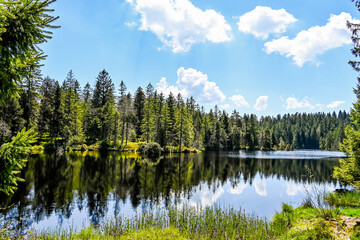 étang de la gruère, la gruère, See, Moorsee, Moor, Weiher, Hochmoor, Wanderweg, Spiegelung, Wasserpflanzen, Wald, Waldweg, Wasserpflanzen, Torfmoos, Jura, Naturschutz, Frühling, Sommer, Schweiz