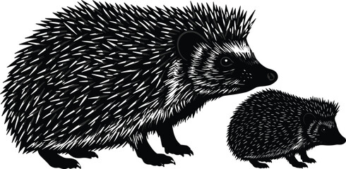 Hedgehog mother and baby, detailed wildlife drawing, nature illustration, animal art, spiky mammals, black and white vector sketch, forest creature
