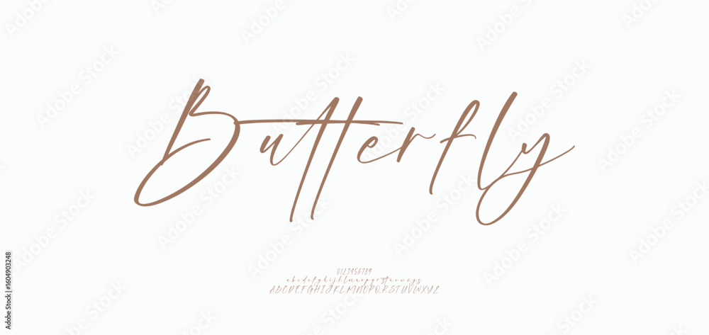 Poster butterfly hand drawn font uppercase lowercase and number. modern monoline signature script font. ele