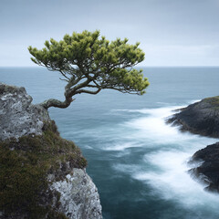 Lone tree clinging to a rugged cliff overlooking the ocean. A symbol of resilience, strength,  persistence. Ideal for themes of nature, solitude, and overcoming adversity.