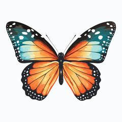Fototapeta premium Colorful Butterfly Watercolor Painting