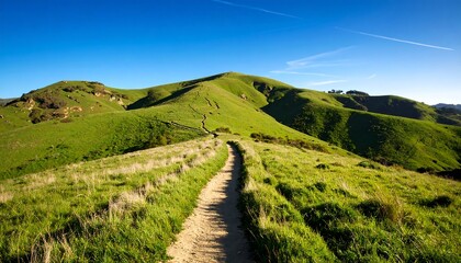 Lush green hills with a winding path