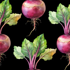 Beetroot Hand Painted Watercolor Vector Seamless Pattern