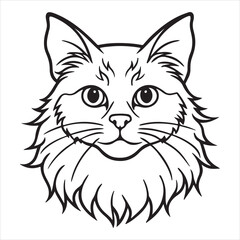 Ragamuffin Cat: Majestic, Sweet-Tempered, Charming Friend