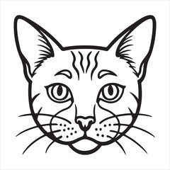 Turkish Van Cat: Adventurous, Independent, Majestic Swimmer