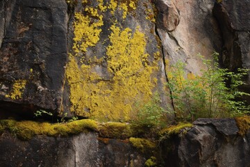 Vibrant Yellow Lichen and Greenery Flourishing on a Rocky Cliff Face