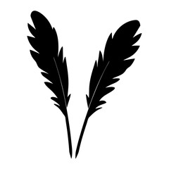 Obraz premium Two elegant black feathers on white background creating artistic composition