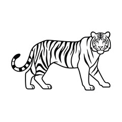 Naklejka premium Tiger silhouette walking isolated on white background