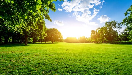 Lush green parkland bathed in golden sunlight