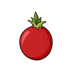 Creative Vector Style Pomegranate on White Background