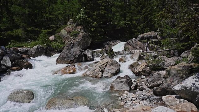Alpine Stream Rapids in Pine Forest &ndash; Gran Paradiso, Italy