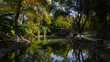 Fototapeta premium pond in the park