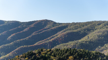 Naklejka premium landscape with mountains