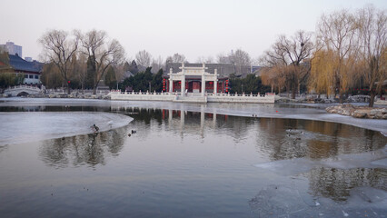Fototapeta premium park in the park