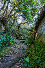 Abandoned and empty medieval Convento dos Capuchos in the Serra de Sintra National Park, Portugal