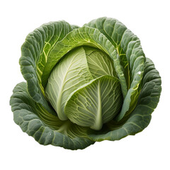 Obraz premium Vegetable PNG Image Without Background Green Cabbage