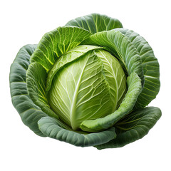 Fototapeta premium Vegetable PNG Image Without Background Green Cabbage