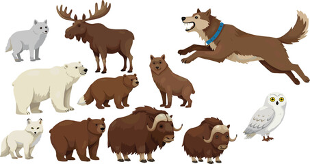 Northern wildlife cad drawing flat vector illustration, cartoon animals including wolf, bear, moose, owl, dog and fox in playful lineup