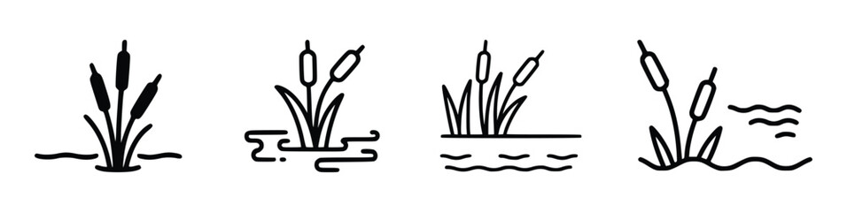 Obraz premium Cattails growing in water reeds marsh