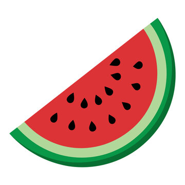 a watermelon slice  vector illustration